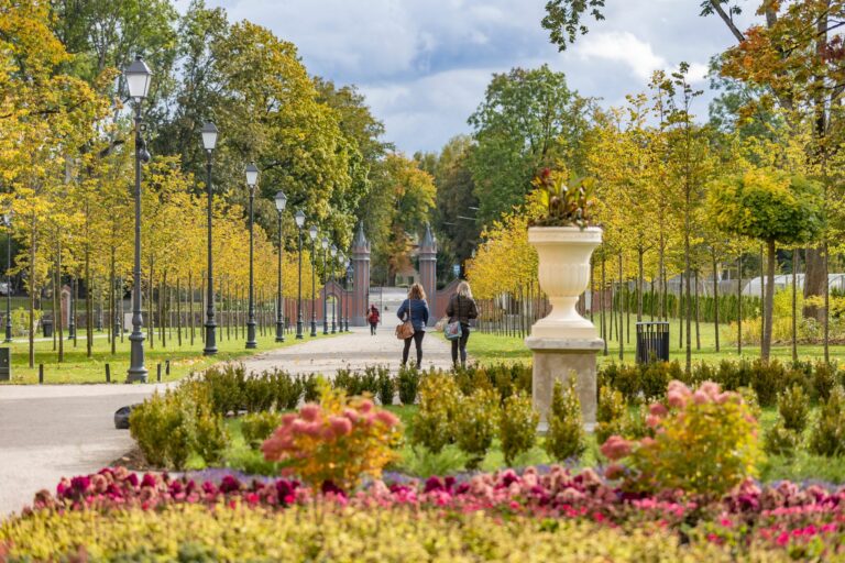 Šimtamečio parko takais. Nuotr. Vilniaus miesto savivaldybės