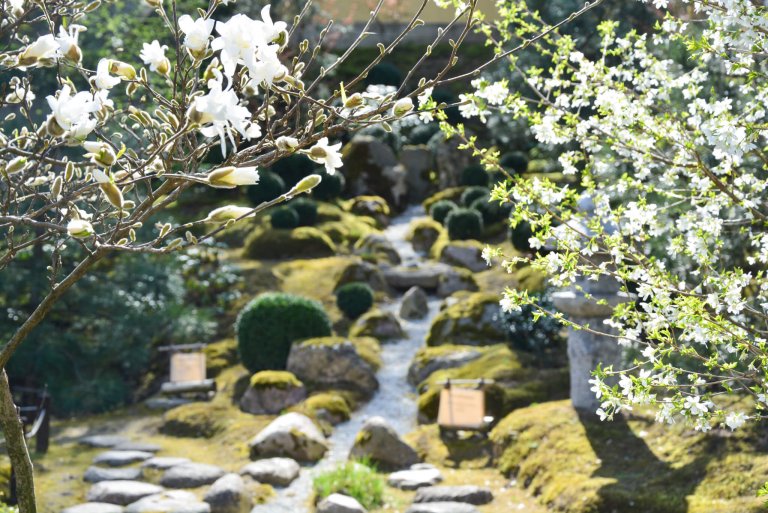 Japoniškas sodas Sei Shin En.