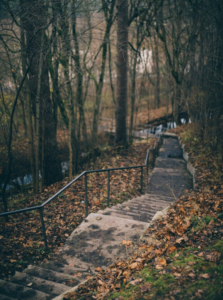 Miško ar plytelėmis klotu takeliu maršrutas veda įspudingais Turniskių ir Riešės upelių slėniais