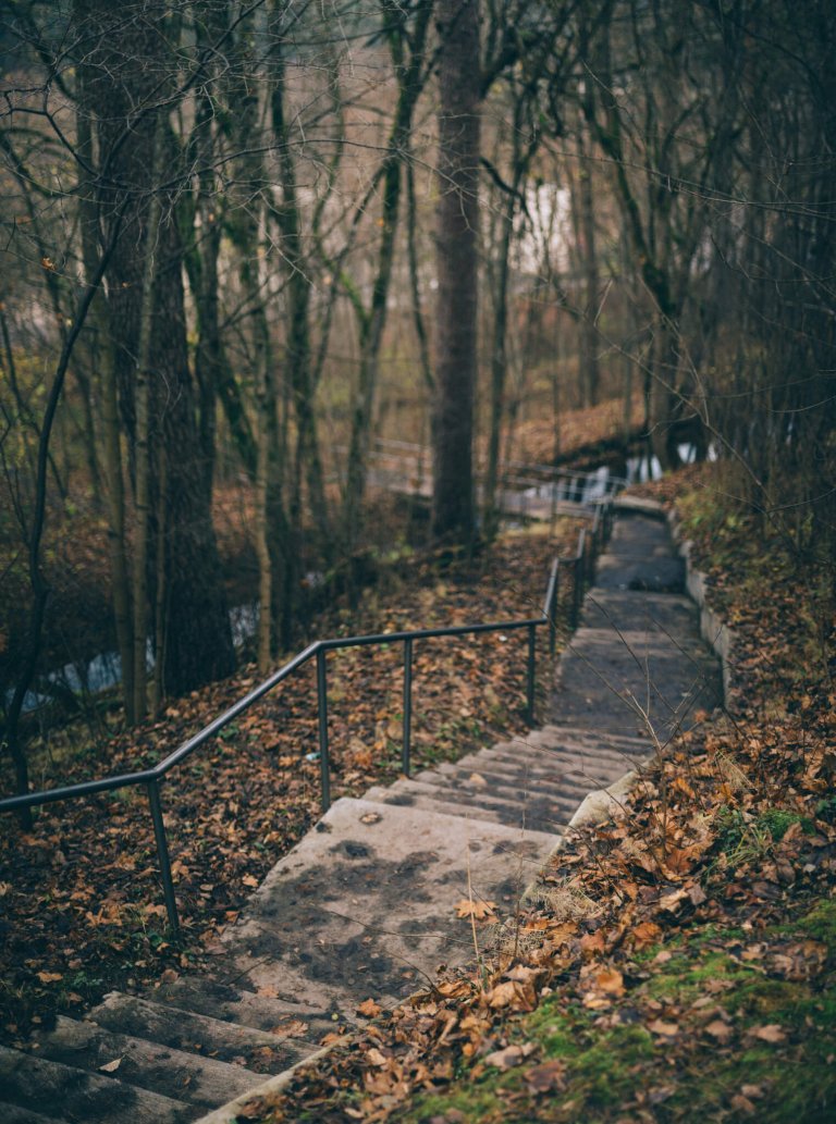 Miško ar plytelėmis klotu takeliu maršrutas veda įspudingais Turniskių ir Riešės upelių slėniais