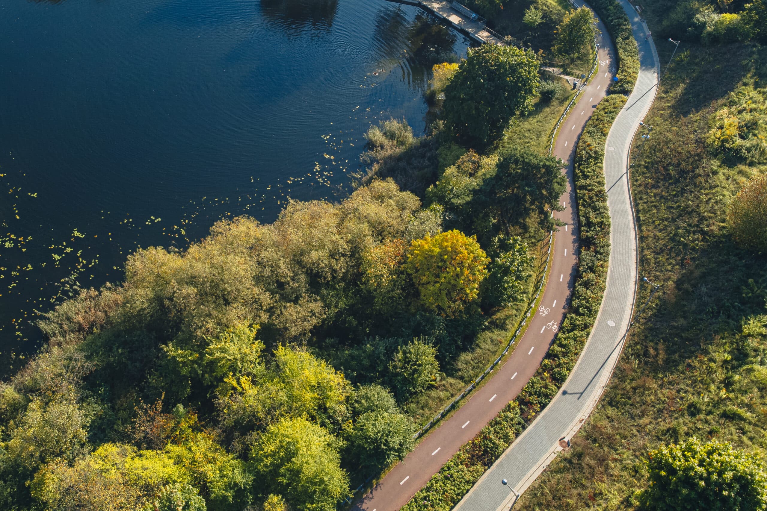 Ne paslaptis, Vilnius yra vienas žaliausių miestų Europoje, tačiau įdomu tai, jog daugelis jo žal...
