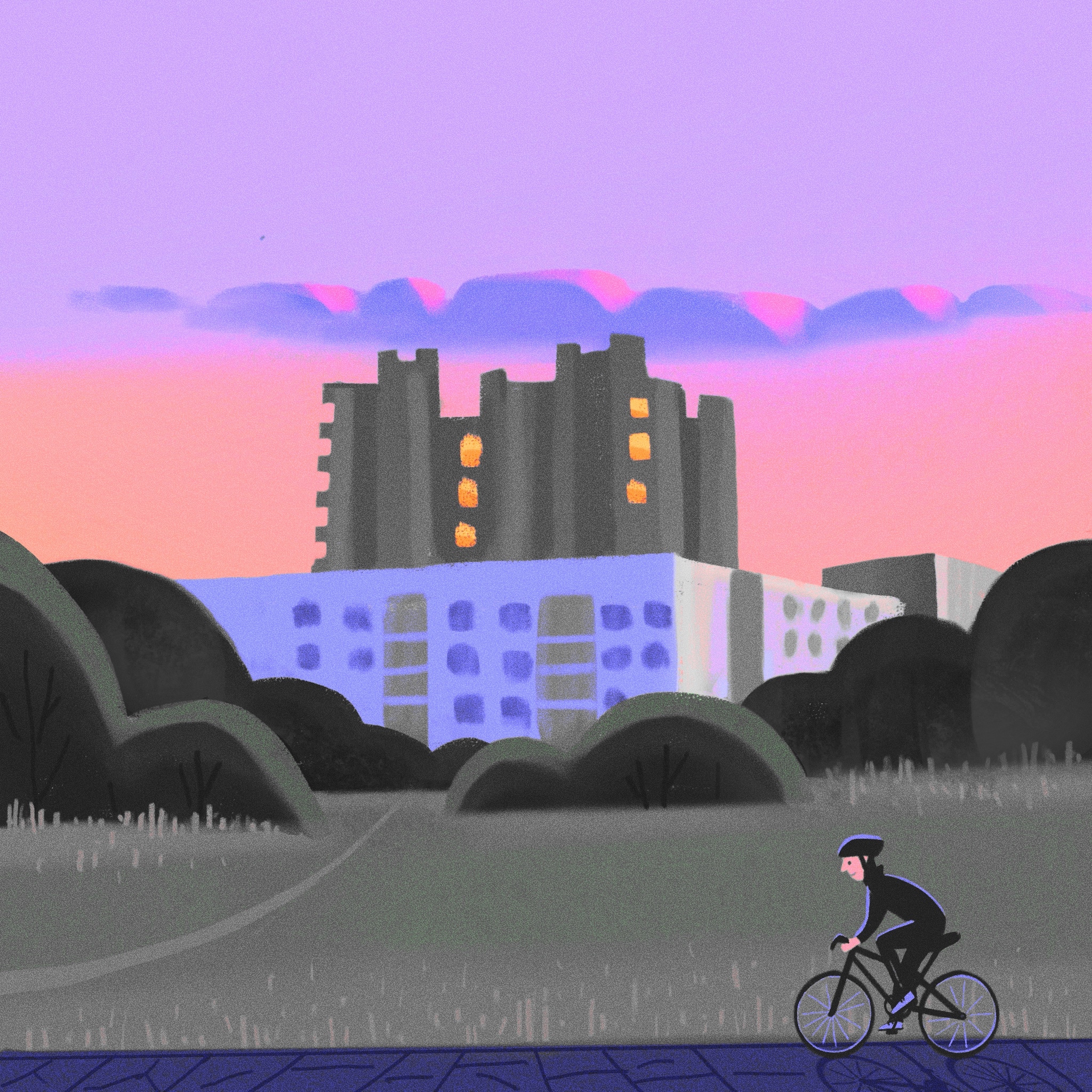 Šeškinės kalvos_Salvijos Vaičikonytės iliustrac.