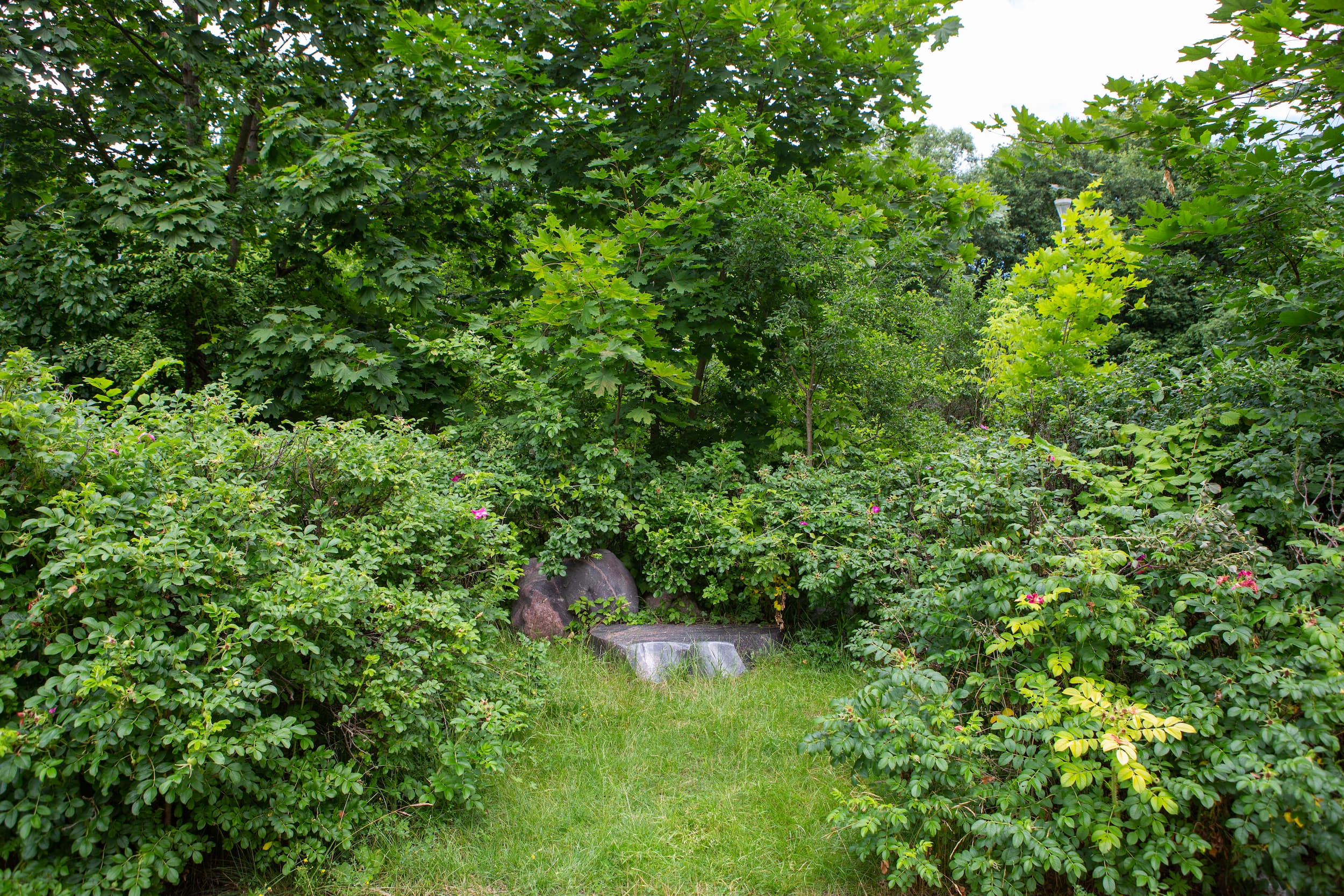 Grafo Konstantino Tiškevičiaus ekspedicijai Nerimi atminti – paminklinis akmuo Žvėryne. Vytautės Ribokaitės nuotr.