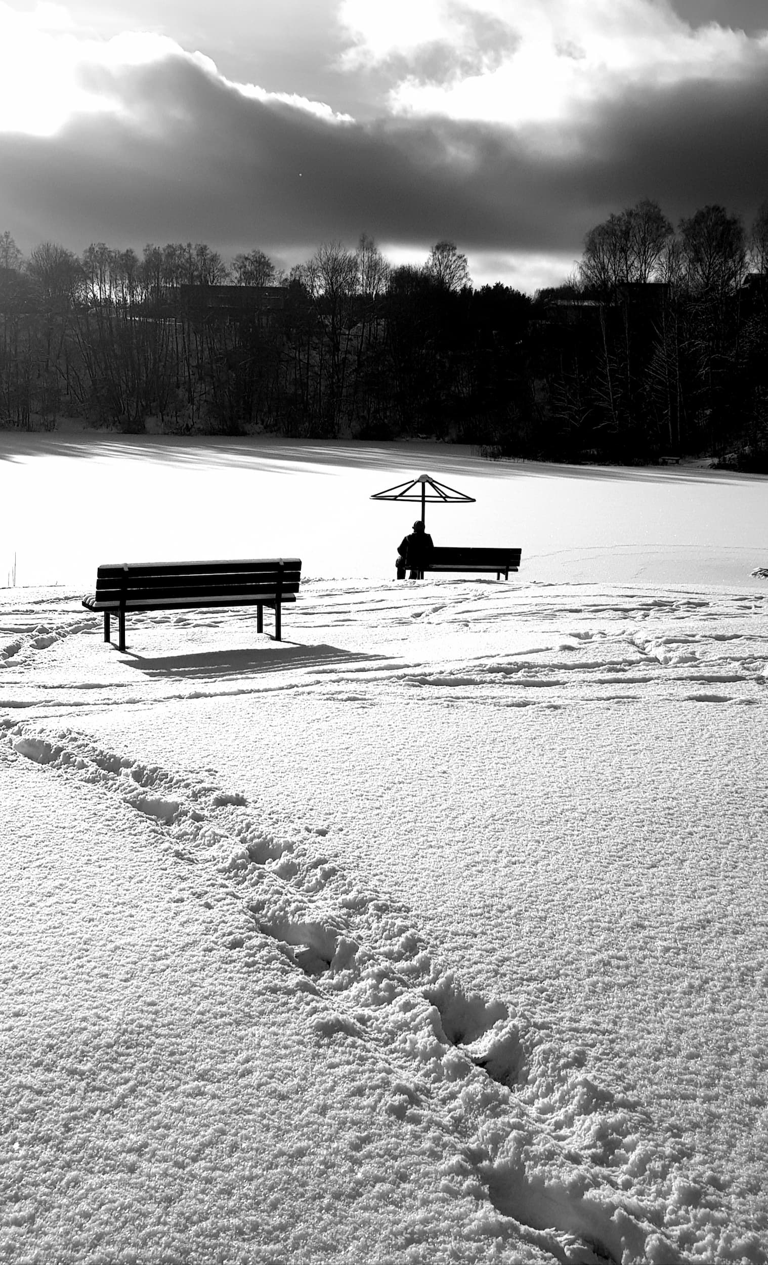 Dvarčionių ežeras_Gyčio Norvilo nuotr.