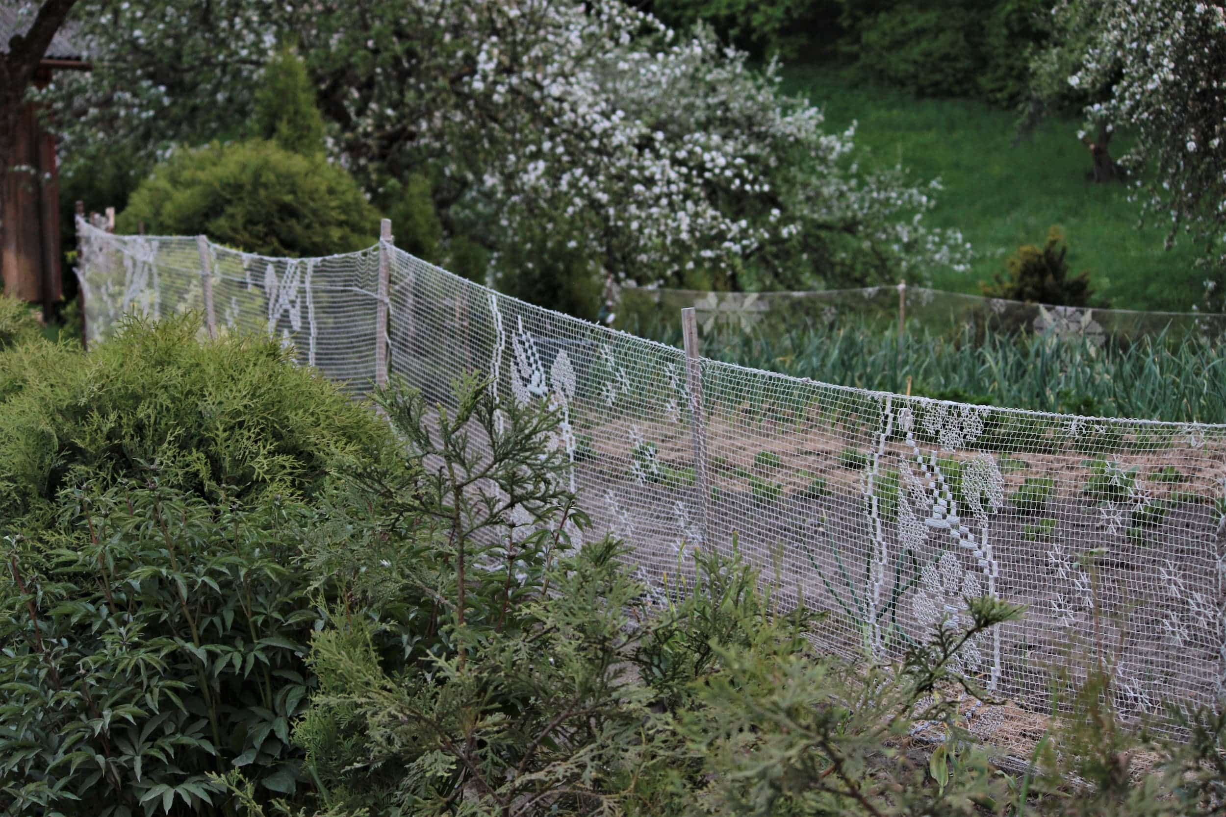 Jokūbo kalnas Pavilnyje_Audronės Ranonytės nuotr.