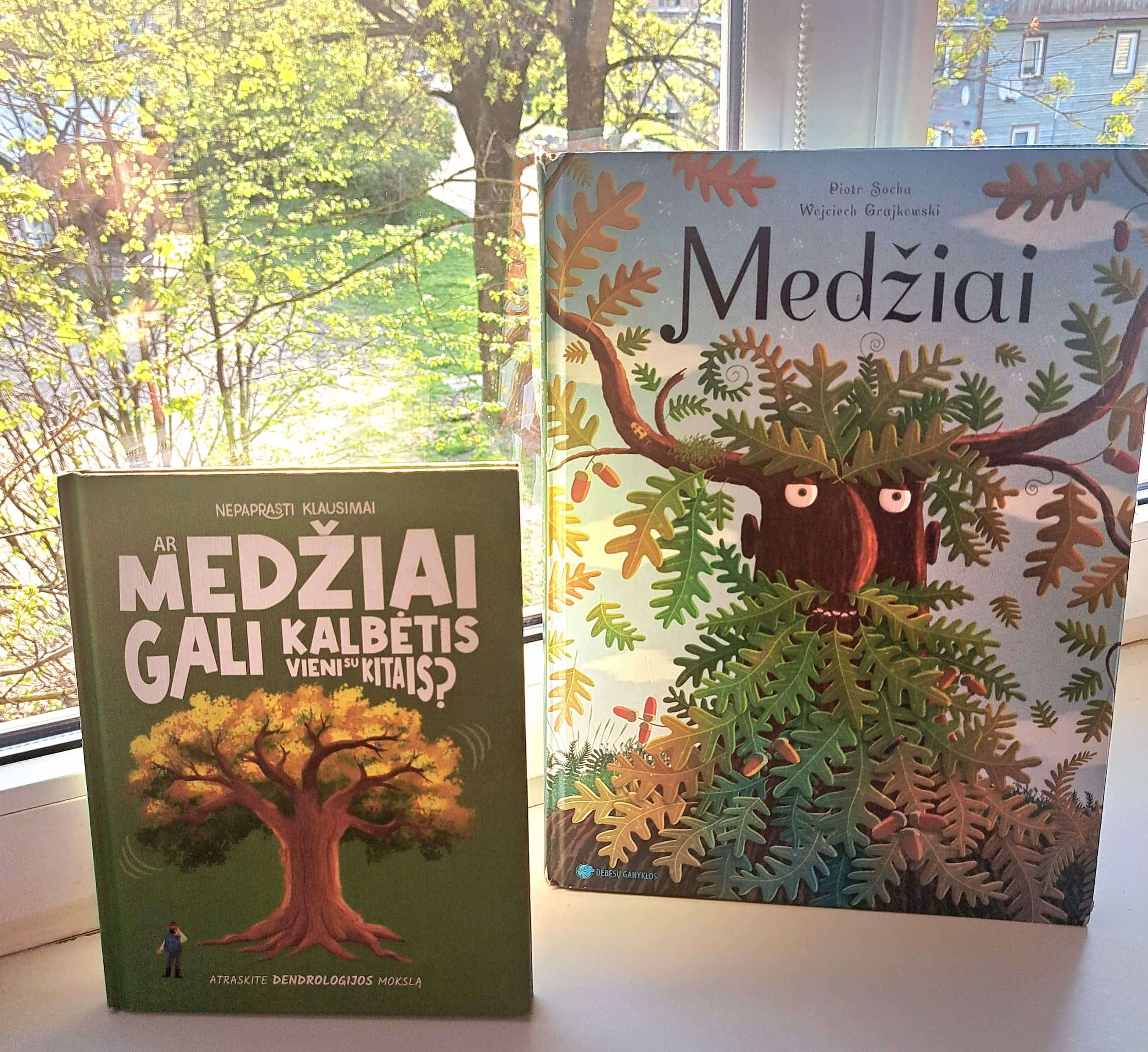 Knygos_Vidos Jablonskienės nuotr.