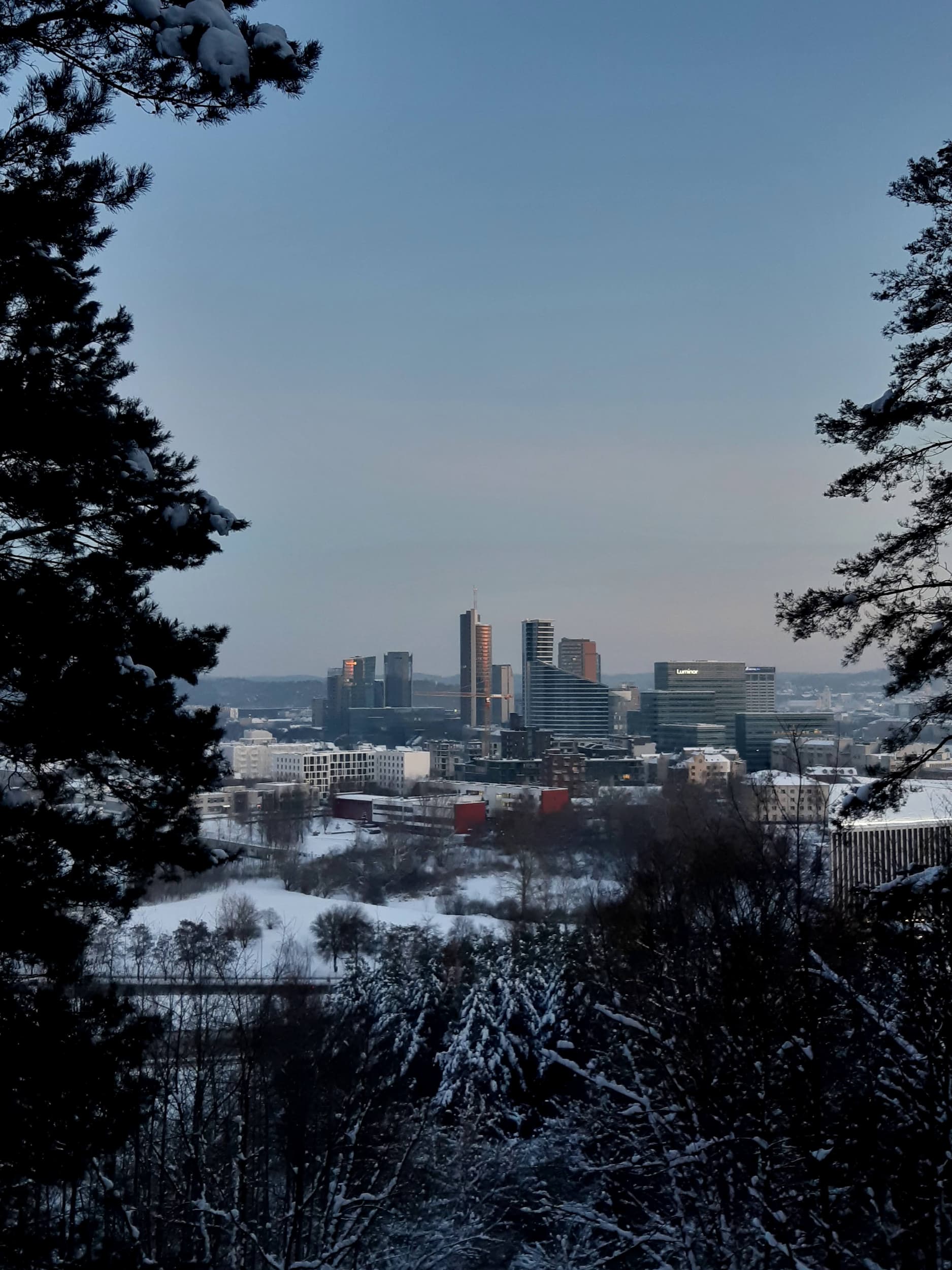 Vaizdai nuo Šeškinės šlaitų draustinio regyklos. Salvijos Vaičikonytės nuotr.