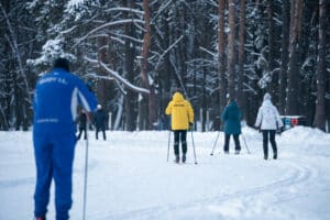 Žiema, lygumų slidinėjimas Vingio parke
