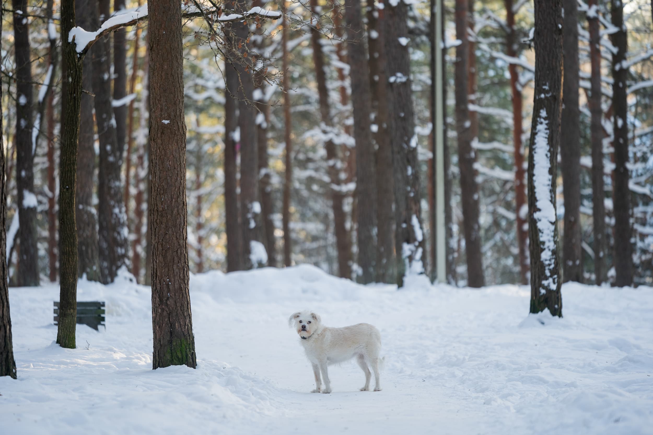 Pasakų parkas_Vytautės Ribokaitės nuotr.