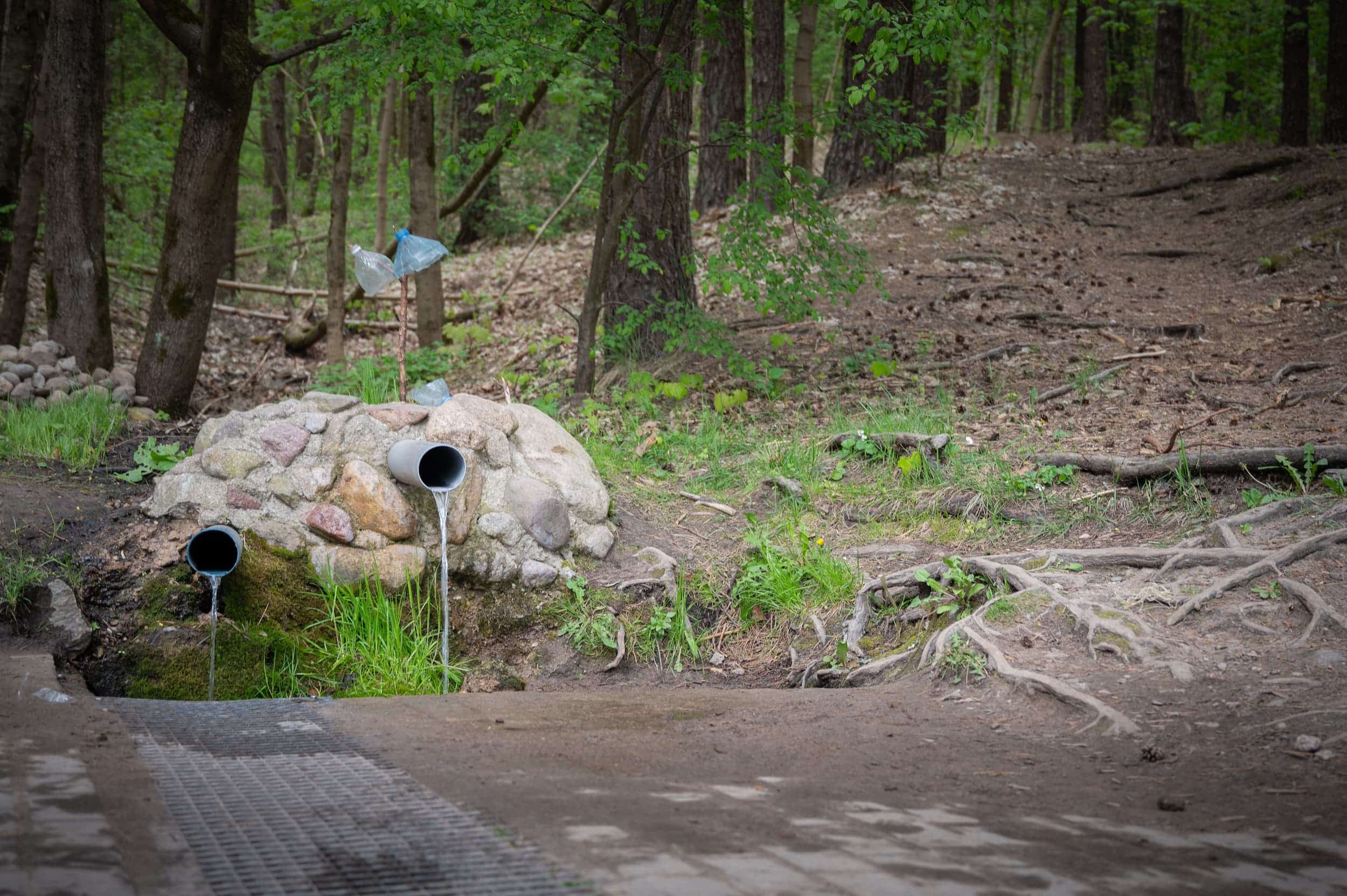 Dvarčionių šaltinis_ Arno Šarkūno nuotr.