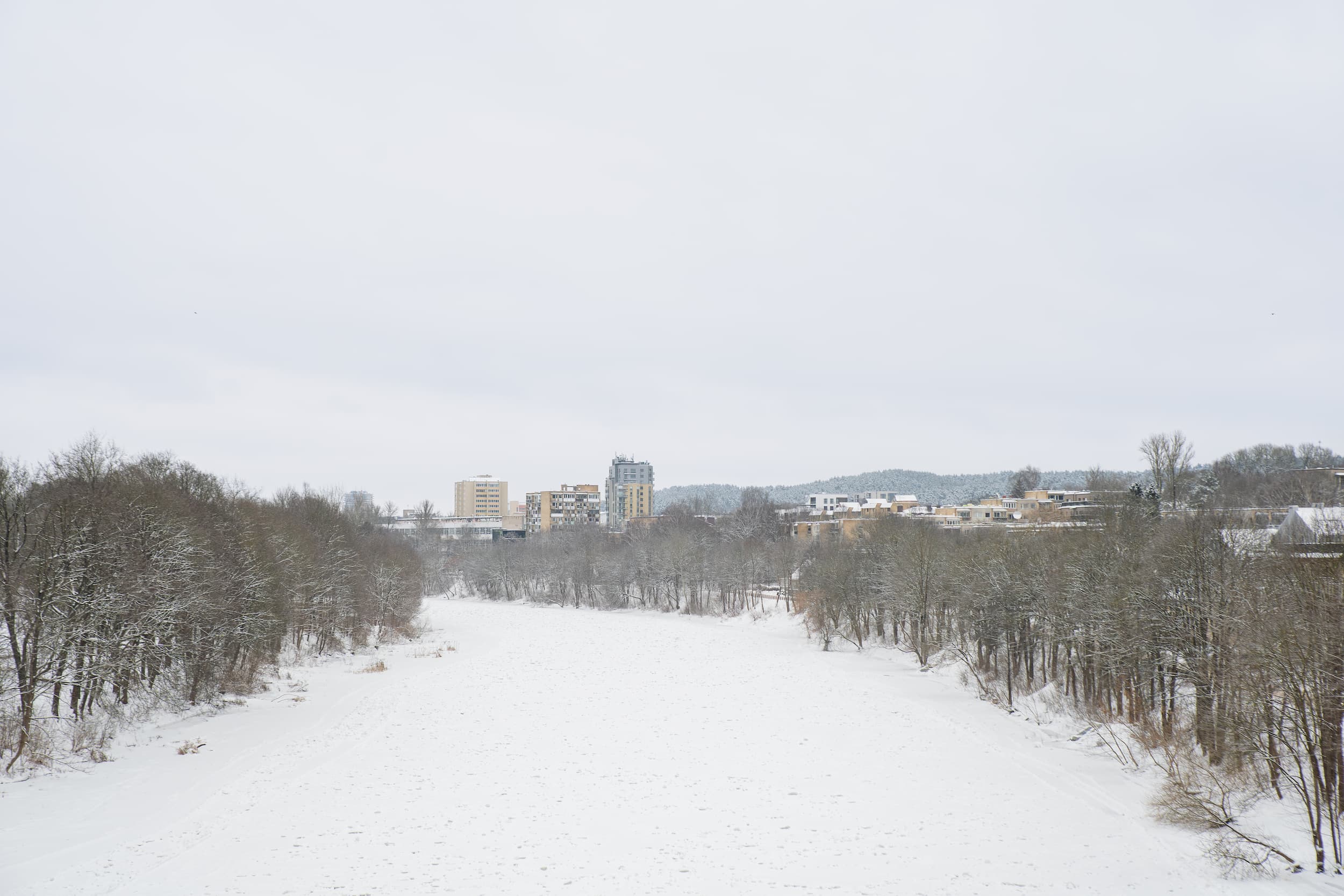 Neris žiemą_Vytautės Ribokaitės nuotr.