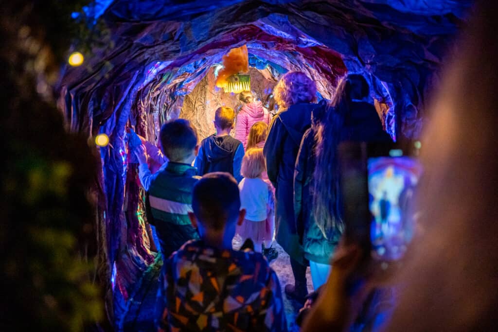 Meškinų muziejus ,,PLUSHY B55" (aut. MoonPhotography)