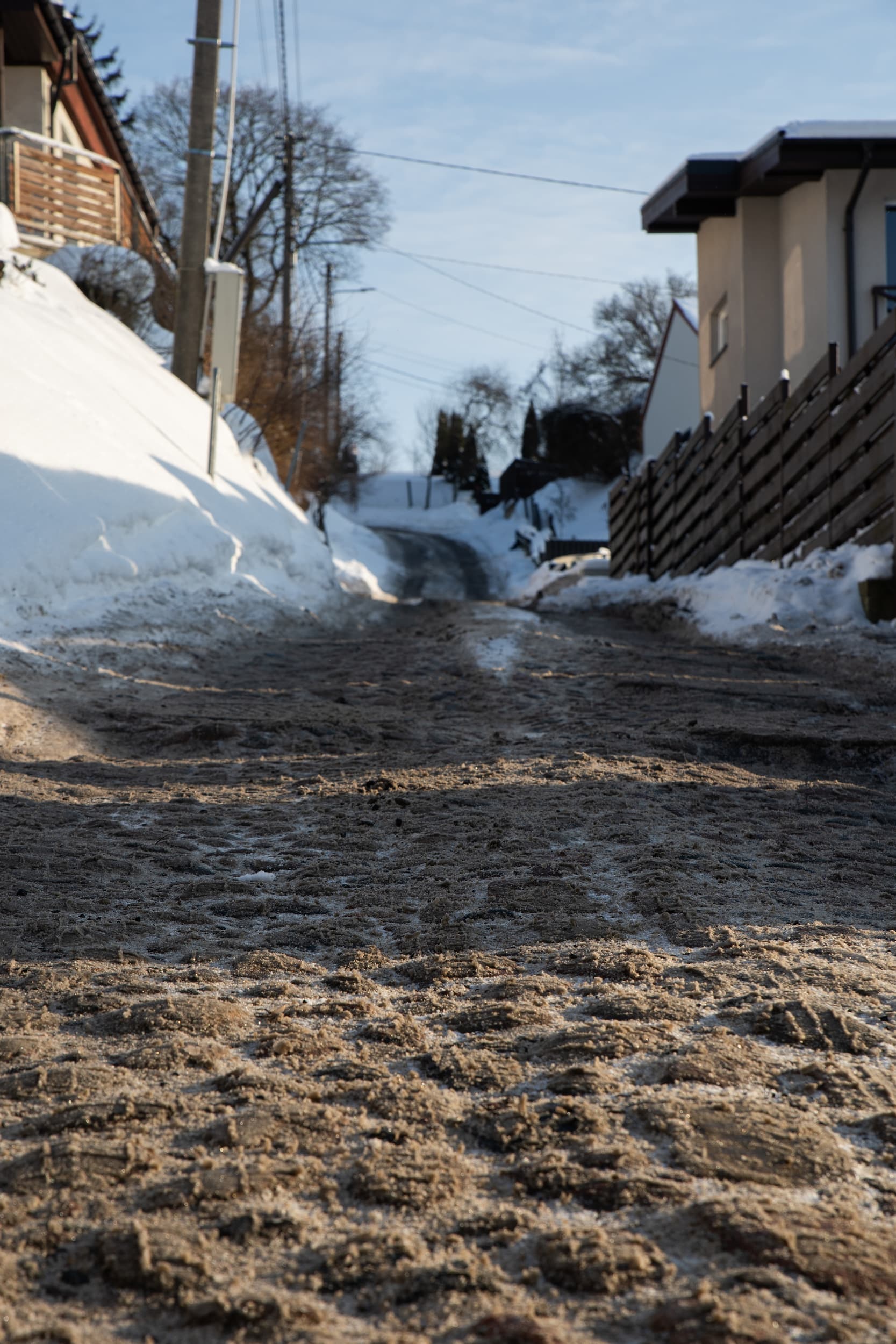 Akmeninis grindinys Markučiuose_Vytautės Ribokaitės nuotr.