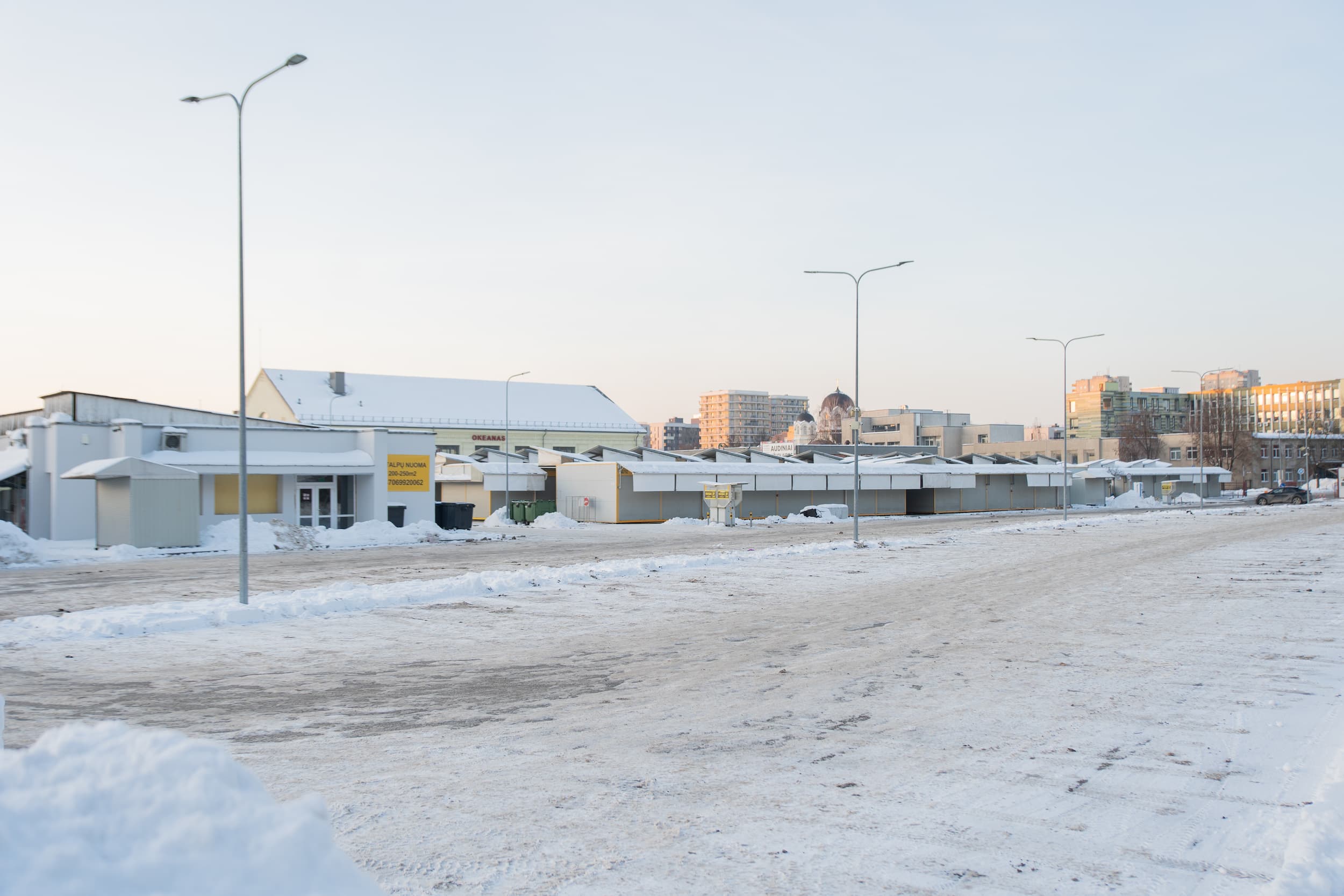 Aikštelėje prie turgaus įsikurdavo laikini žvėrynai. Vytautės Ribokaitės nuotr.