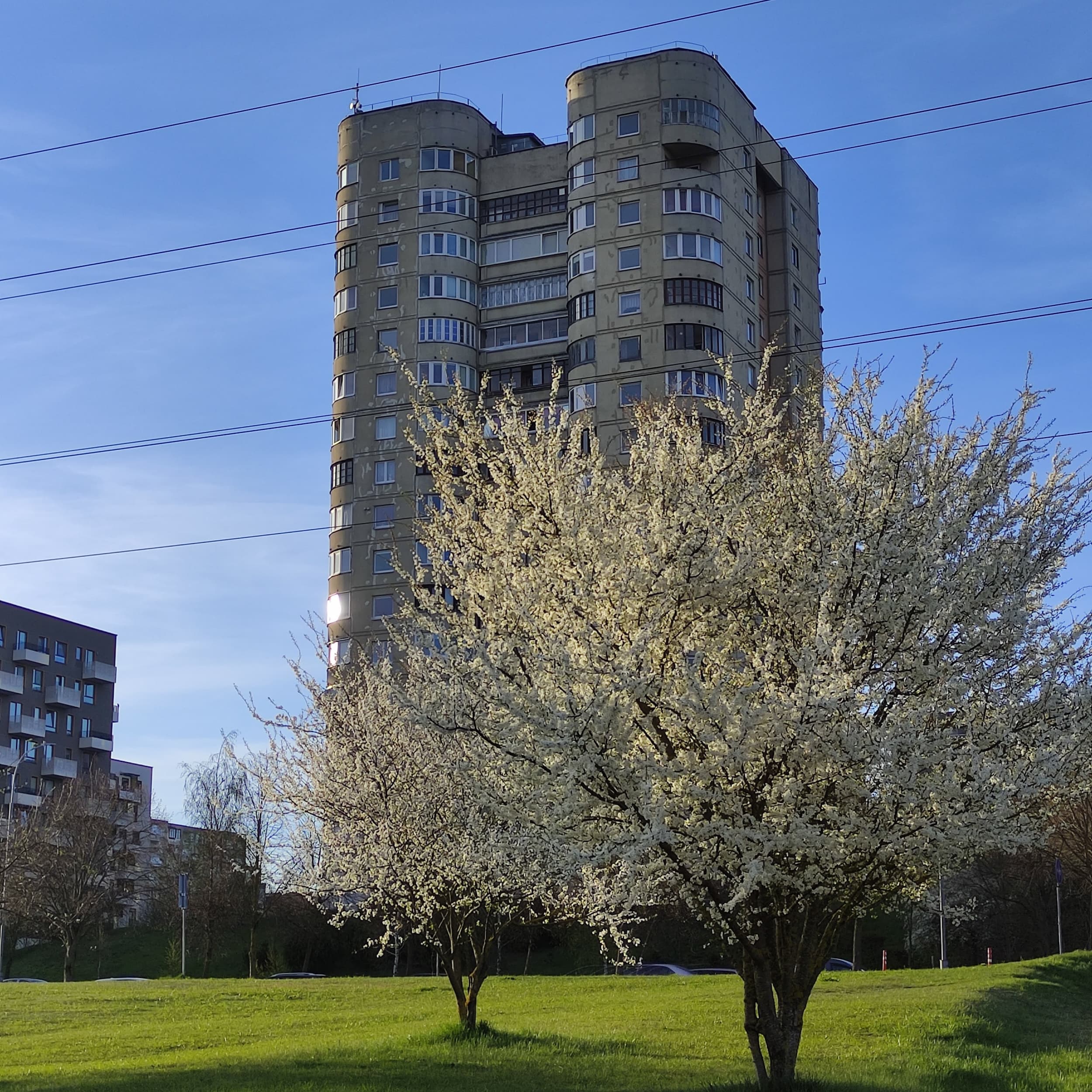 Šeškinės daugiabutis_Salvijos Vaičikonytės nuotr.