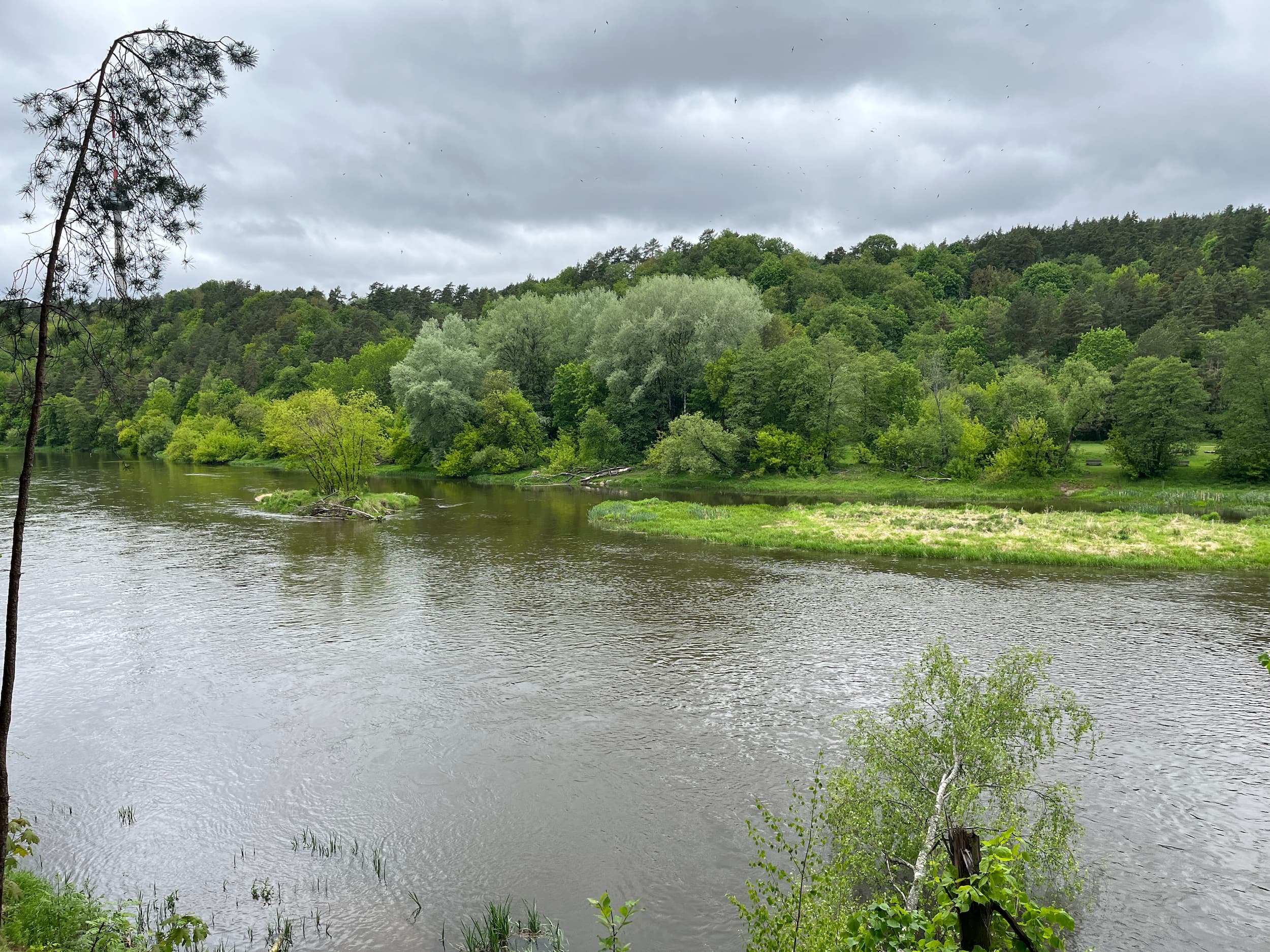 Žvėryno salos Neryje_ Monikos Vaicenavičienės nuotr.