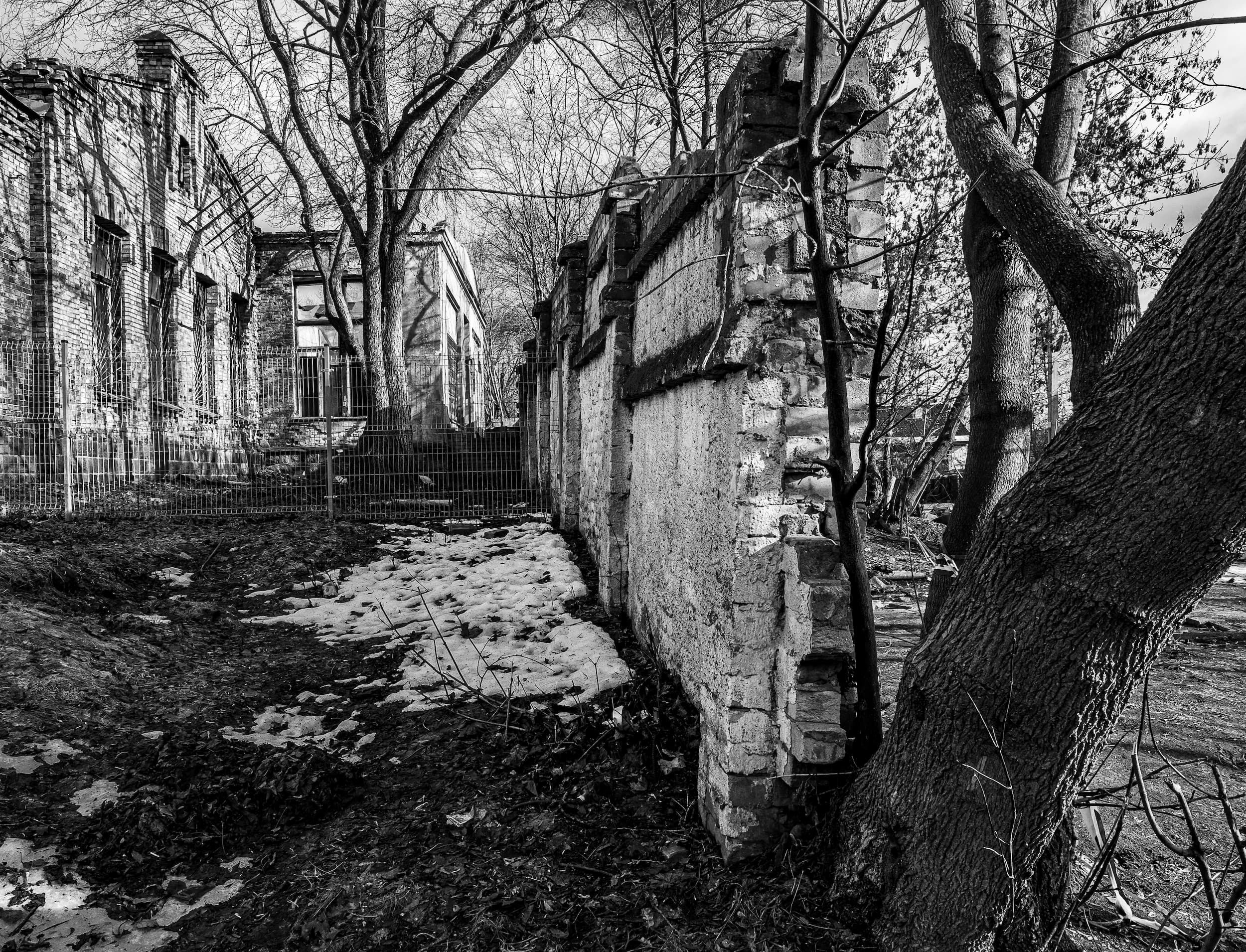 Šiaurės miestelio sienos fragmentas_Sigito Parulskio nuotr.