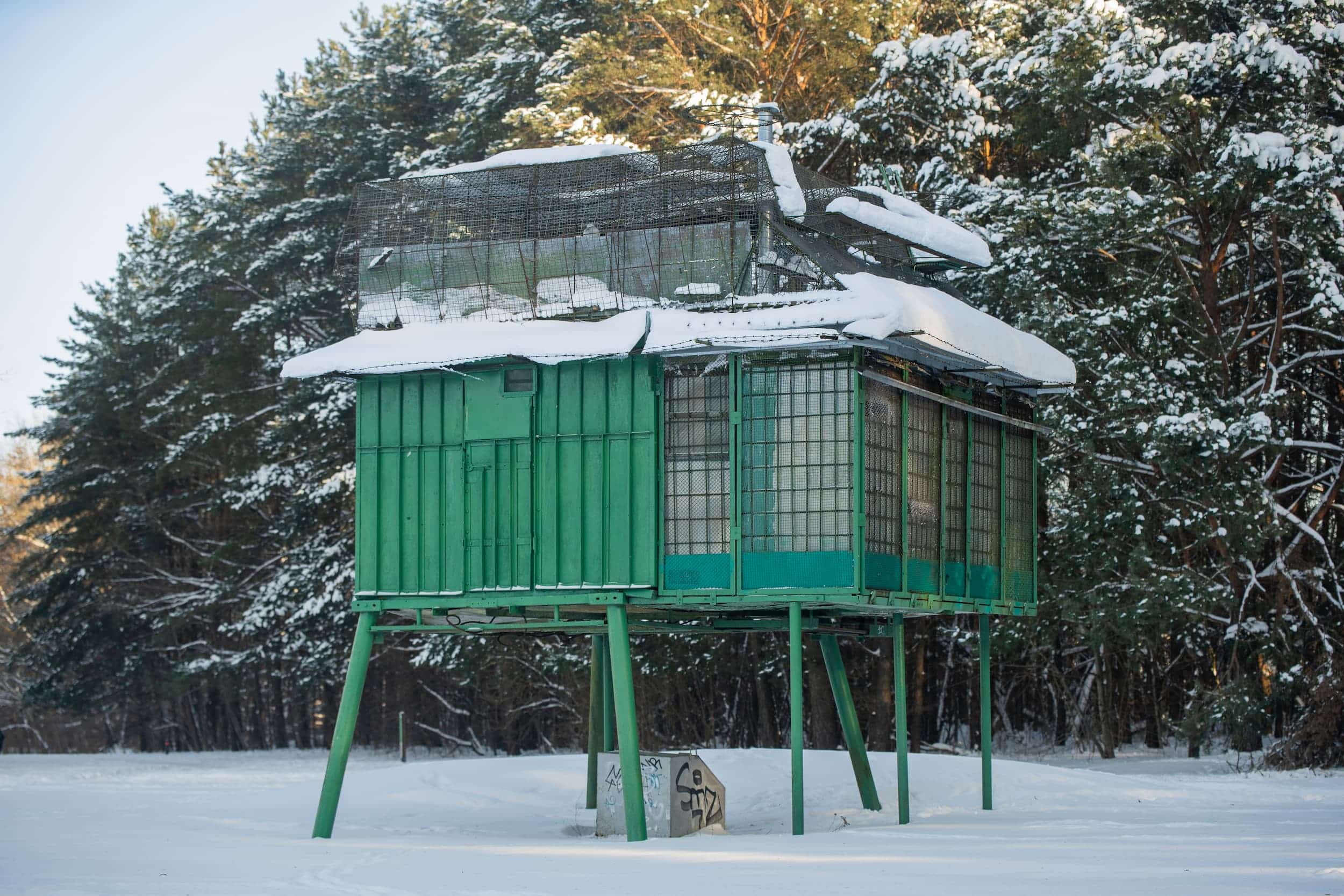 Karoliniškių balandinė_Vytautės Ribokaitės nuotr.