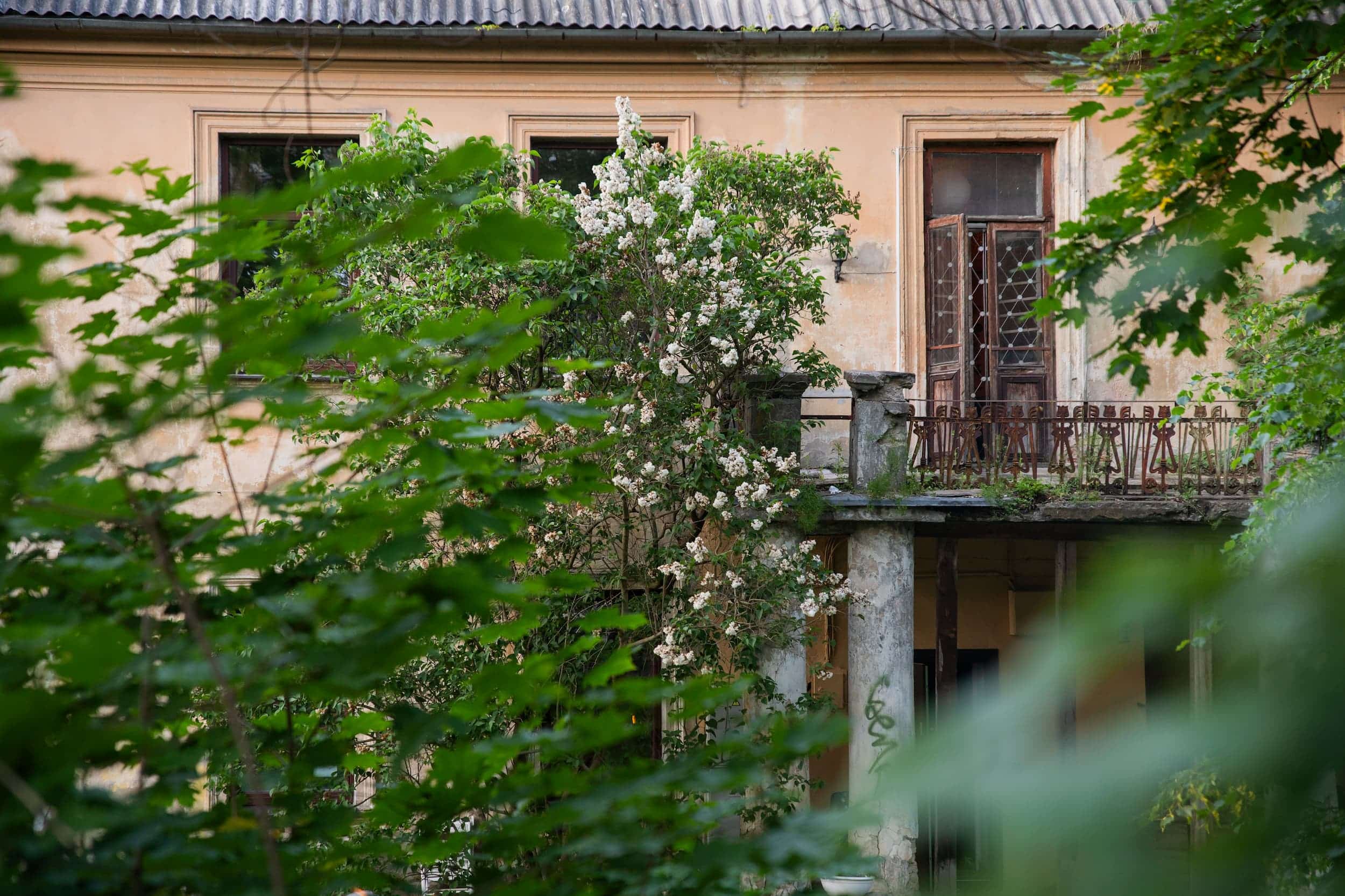 Tilto g. balkonas vasarą_Vytautės Ribokaitės nuotr.