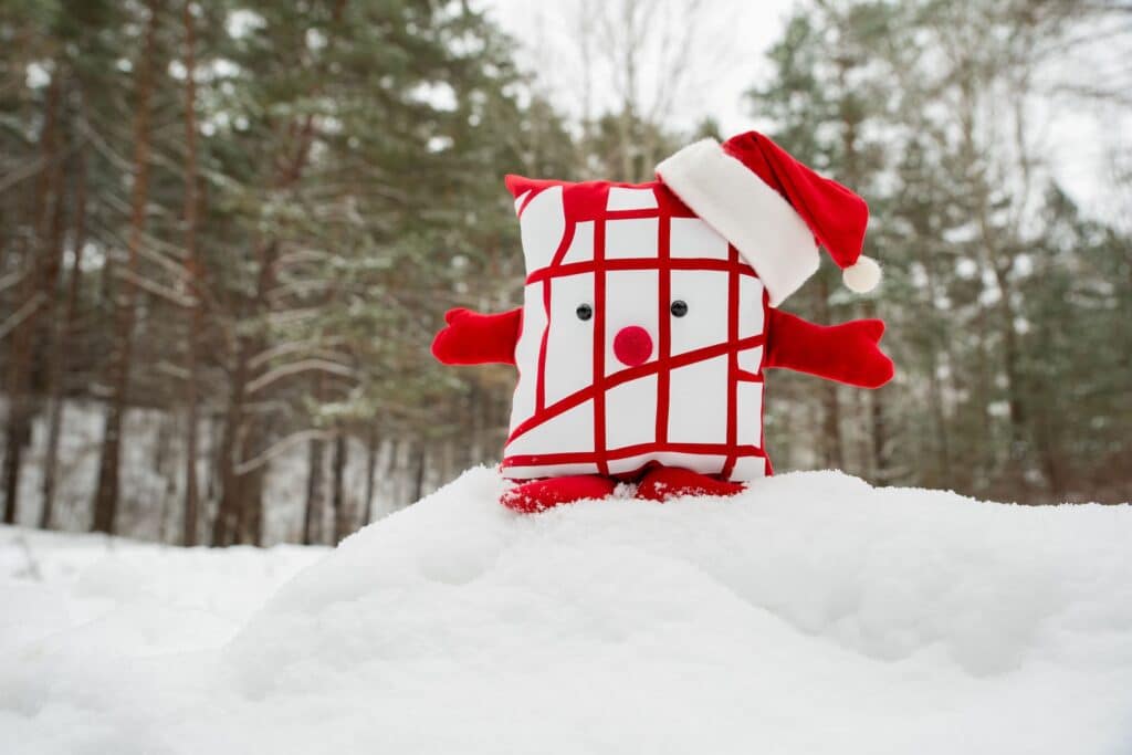 Neakivaizdinukas ant sniego