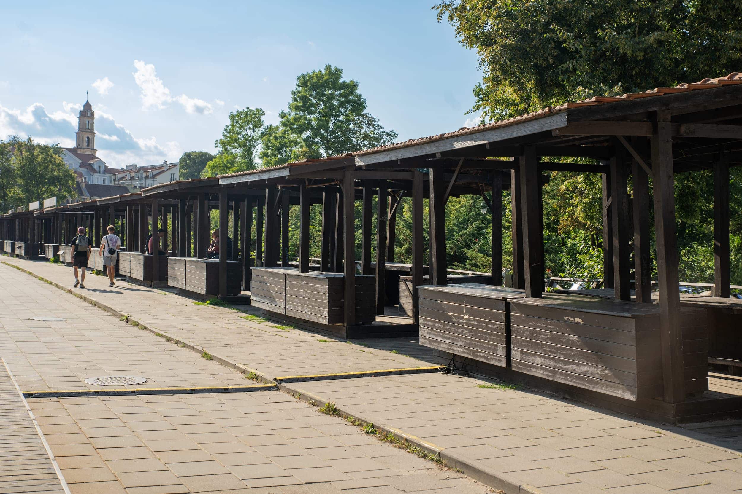 Tymo turgus_nuotr. V. Ribokaitės